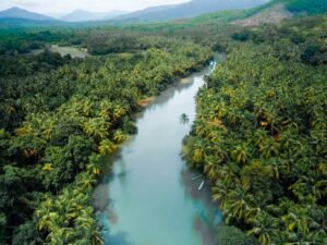 india karnataka honnavar backwaters kayaking 1
